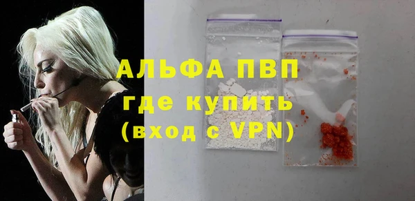 гашик Верея