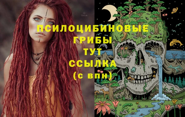 гашик Верея