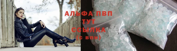 гашик Верея