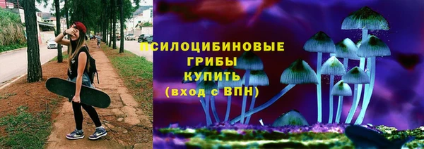 гашик Верея