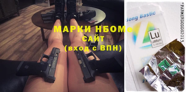 гашик Верея