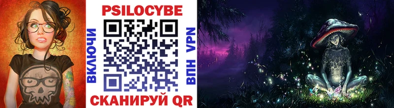 Галлюциногенные грибы Psilocybe  Купить закладки  Стерлитамак 
