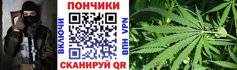 Каннабис AK-47  Купить закладки  Стерлитамак 